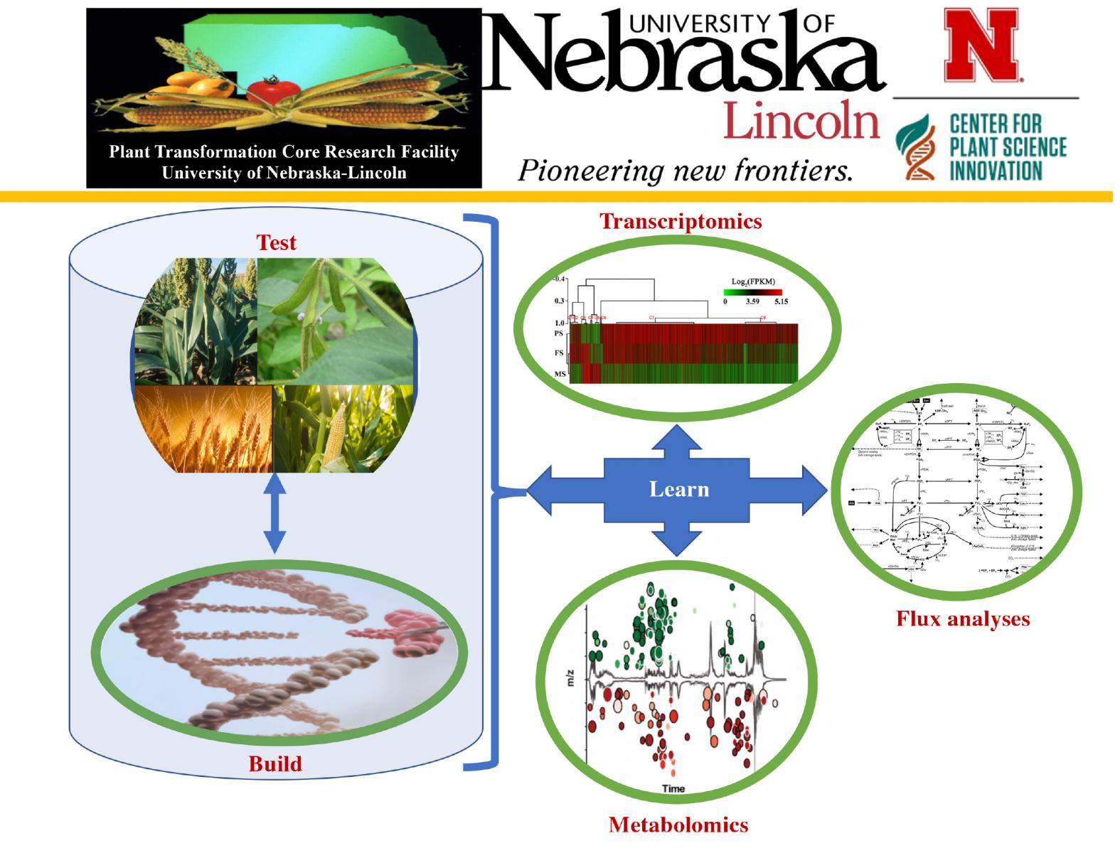 Clemente Lab Graphic