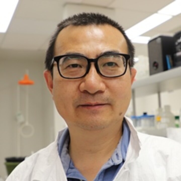 Avatar for Ming Guo